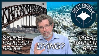 Sydney Harbour Bridge Destroyed (and Great Barrier Reef)?