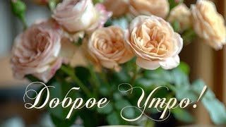 💞С Добрым утром 💞Пусть день сложится удачно 💖