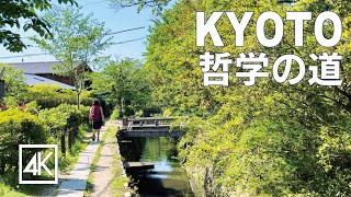 Прогулка по Философской аллее в Киото 4K HDR #kyoto #walking #Япония #Путьфилософии