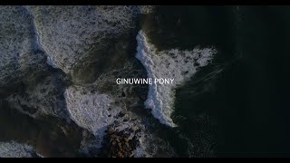 Ryan Cali - Ginuwine Pony (Official Music Video)