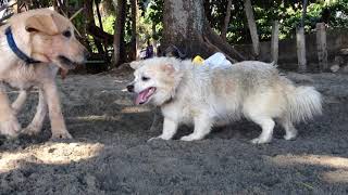 Thirdy and Ching2x at the Beach