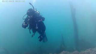 South Coast Divers at Heisler Park - March 31 2018