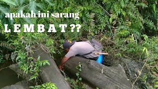 PERTAMA KALI MENCOBA PASANG BUBU IKAN LELE LEMBAT TERNYATA HASILNYA ???