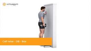 Calf Raise - Dumbbell - Box