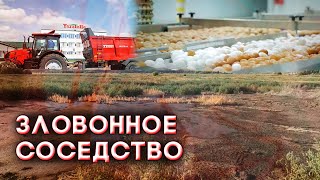 Воняет «в пределах нормы»: жители Столбищ воюют с компанией «Яратель» из-за смрада  с птицефабрики