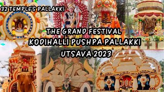 KODIHALLI PUSHPA PALLAKKI | POO THER | @drcrazybro  | MY 1ST VIDEO