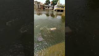 POWER OF RAM | FLOATING ROCK ON WATER