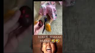 Suami jahil🤣🤣 #shorts #video #ngakak #youtubeshorts #viral #beritaterbaru