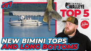 Target Walleye's Top 5 of the Week! 🔥 (Ep 77)