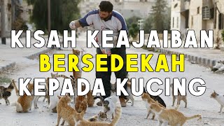 Kisah Keajaiban Sedekah Kepada Kucing, Ibu Pemuda ini Tiba-Tiba Sembuh dari Penyakitnya