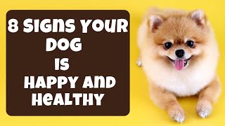 8 Signs Your Dog is VERY Happy and Healthy!