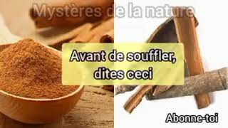 Faites cette astuce chaque premier jour du mois L'astuce a la cannelle moulue