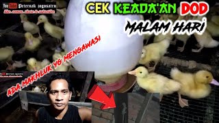 Cek DOD hibrida malam hari