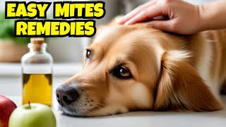 Top Home Remedies for Dog Ear Mites