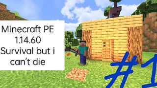 Minecraft PE 1.14.60 | Survival But I cannot die Part 1 | I built my house!