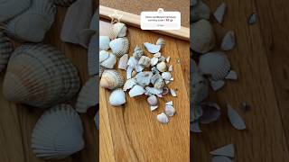 DIY SEASHELL BOARD ! 🐚#preppy #trend #diy #aesthetic #beach #papayaa #cute #viral #crafts #room