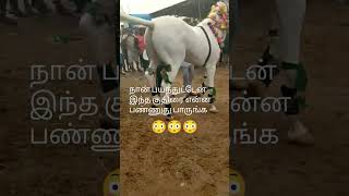 இதோ பாருடா செம்ம