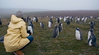 Falkland Islands (Preview) | The Island Diaries | Link TV