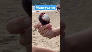 Наконец-то вкусный Мангустин 🍈 Обзор Фрукта Mangosteen в Таиланде на Пзукете