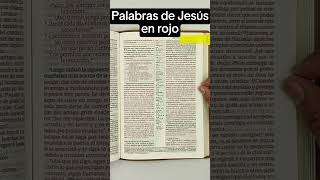 Biblia Ntv Edición De Referencia Ultrafina Letra Grande