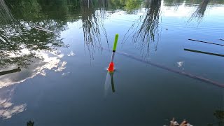 Поехали на рыбалку в плохую погоду и не зря Были одни на реке. Карась клевал. Фидер делает свое дело