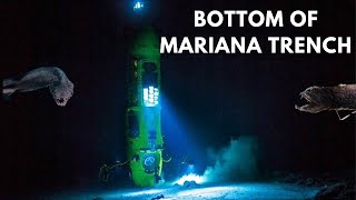 What Lies at the Bottom of Mariana Trench