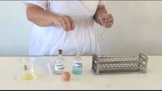 Video 3 - TEST FOR PROTEINS.mp4