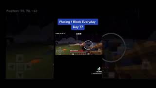 Placing 1 Block Everyday In Minecraft, Day 77