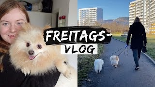 Fido - Der neue Spitz an meiner Seite? / Freitagsvlog #53