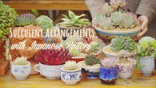 Succulent Arrangements with Japanese Pottery | Succulents Story EP1