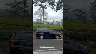 Rehat sejenak kawan#pemandangankebunteh#janganlupasubscribe#jangkauanluas#fypyoutube#shortsviral