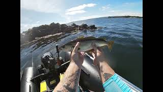 Rhu Narrows Fishing