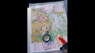 Orienteering