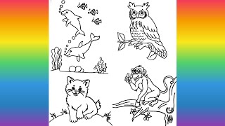 Drawing of Owl,Monkey,Dolphin,Cat #shorts