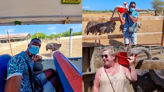 Curacao Excursion - Ostrich Farm Curacao// #vlog #curacao #vacation #tour