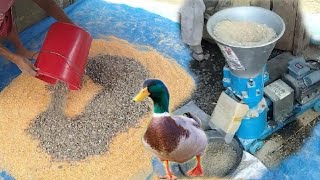 EP-053 | Making Duck Grower Pellets Feeds | Paano Gumawa Ng Sarili Nating Animal Feeds?