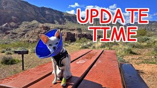 Updates on Lil One & The RV | Weekly Live