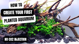 HOW TO CREATE YOUR FIRST PLANTED AQUARIUM WITH HINTS AND TIPS | LOW ENERGY WITH NO CO2 INJECTION