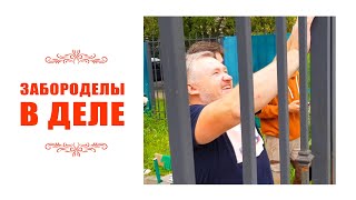 Забороделы в деле