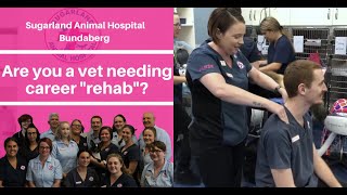 Hiring small animal vets - BUNDABERG QLD