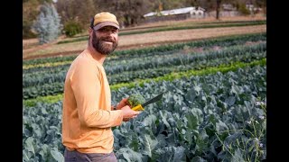 Forever Farms- Birchville Rd, Mountain Bounty Farm