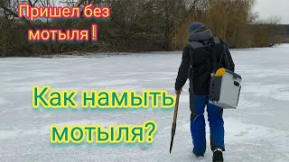 Пришел на рыбалку без наживки! Ловля окуня. Как намыть мотыля?