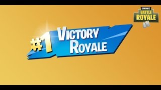 victory royale | wins with my Team