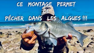 Un montage qui permet de pêcher dans les algues en suspension… ( Pêche du bar automne 2021 🍂 )