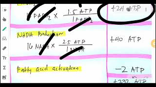 KEY ANSWERS FOR MAY 26 INDIVIDUAL ACTIVITY ON BETA-OXIDATION PATHWAY & ATP PRODUCTION OF FATTY ACIDS