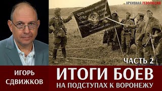 Игорь Сдвижков. Итоги боёв на подступах к Воронежу. Часть 2