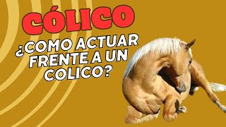 ¿Qué se le puede dar a un caballo con cólicos?