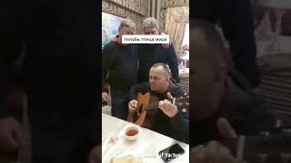 Душевная песня о голубях и птичьем рынке.