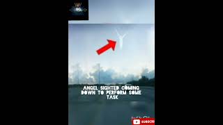 Wird creature caught flying   on camera #trending #shorts