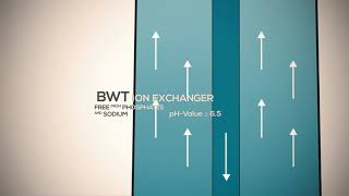 BWT   Bestmax Balance